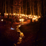 Waldweihnacht