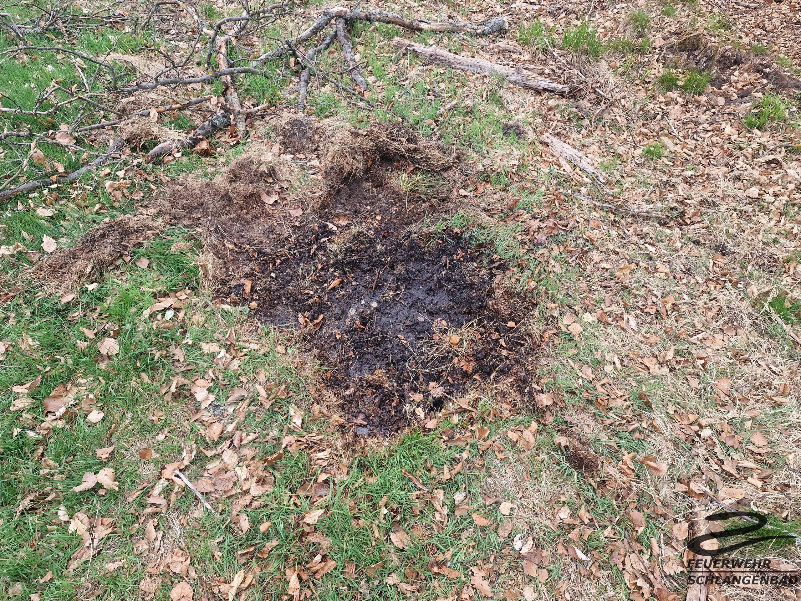 Einsatz 16/2025: F1B Feuerstelle im Wald